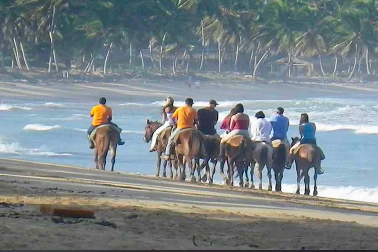 Cabalgata en la playa