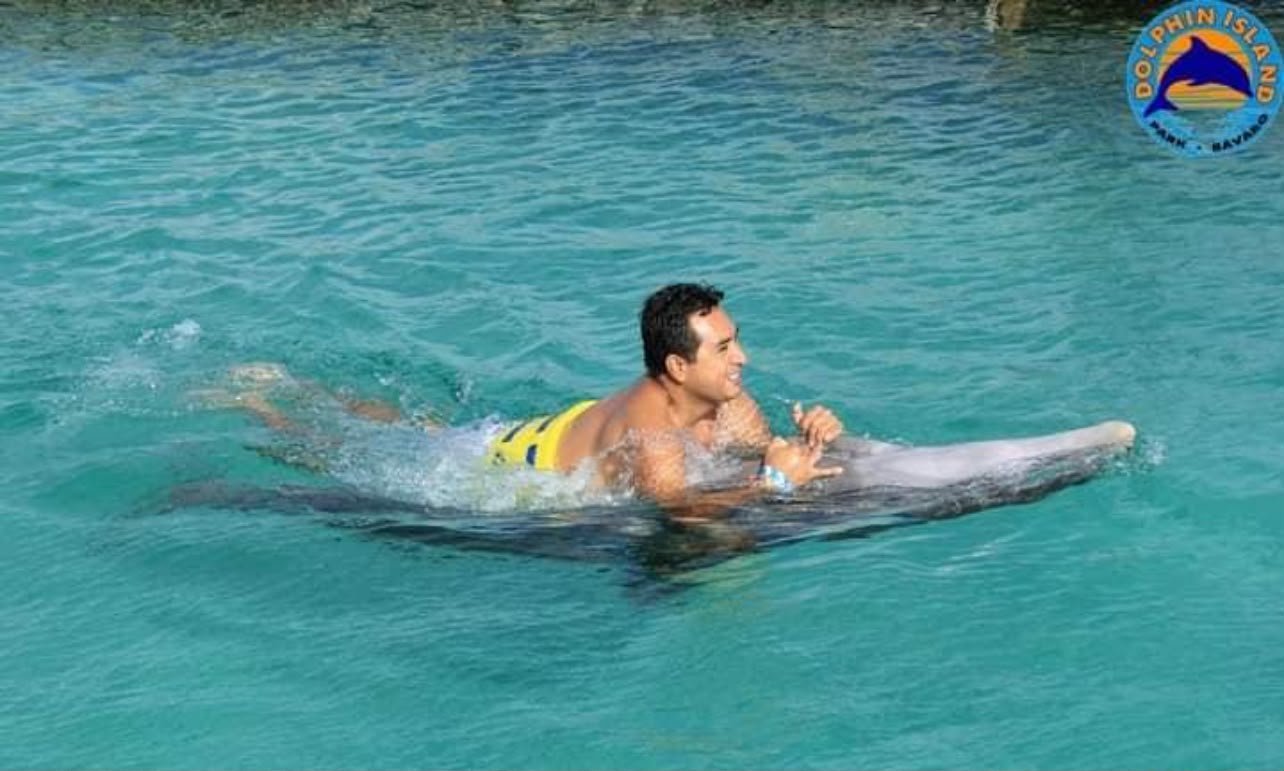Experiencia con delfines